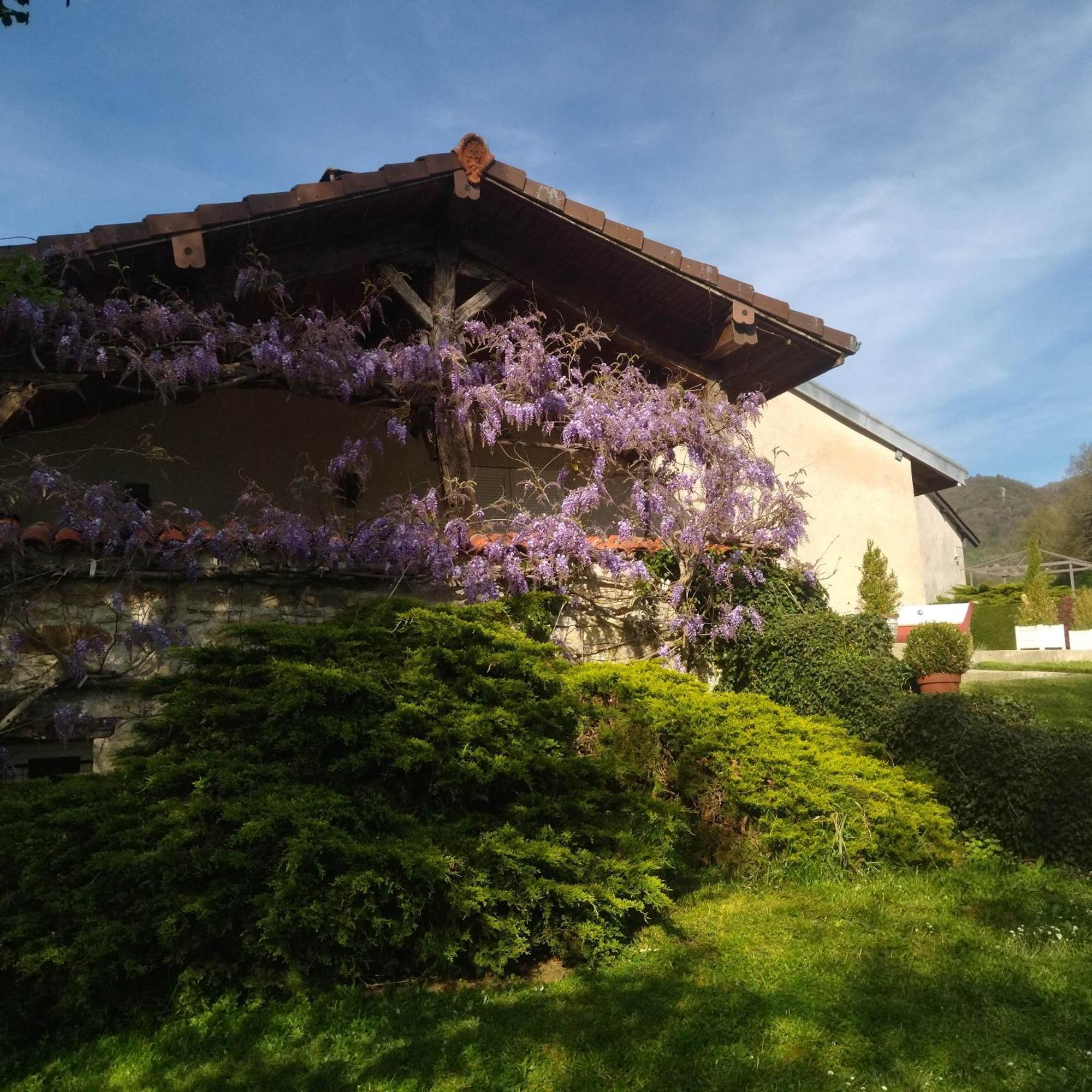 Gite De L'Ancheronne 12 Couchages Spa Lavans-sur-Valouse ภายนอก รูปภาพ
